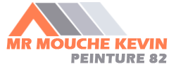 peinture-mr-mouche-kevin